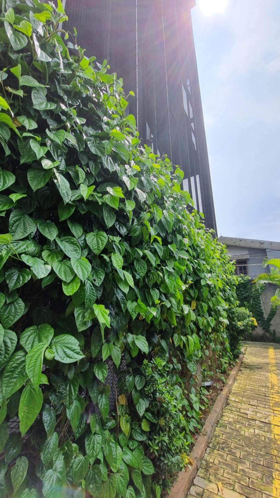 Guest House 555 Nki South Tangerang Bagian luar foto